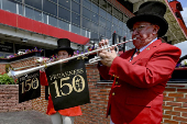 Horse Racing: Black-Eyed Susan