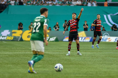 SÃO PAULO (SP), 25.05.2025 - Futebol / Palmeiras x Flamengo
