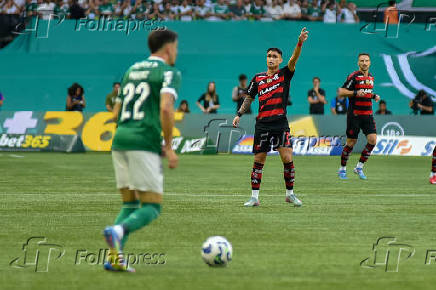 SÃO PAULO (SP), 25.05.2025 - Futebol / Palmeiras x Flamengo