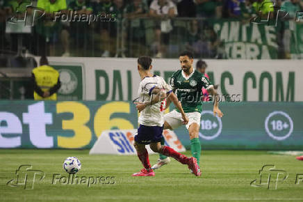 Partida entre Palmeiras e Bahia pelo Campeonato Brasileiro