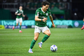 Palmeiras x Flamengo