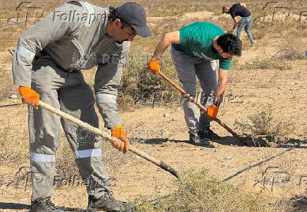 FILE PHOTO: Volunteers plant saplings during a nationwide tree-planting campaign aimed to fight climate change and global warming, in Basra