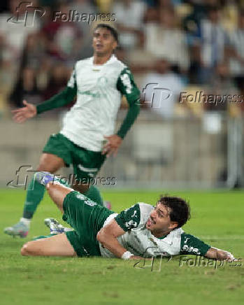 BRASILEIRO A 2025, FLUMINENSE X PALMEIRAS