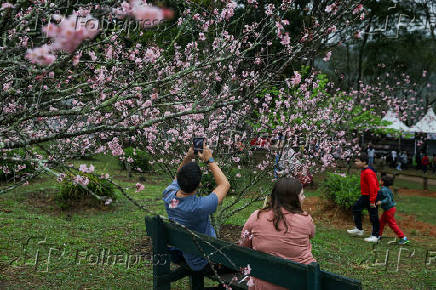 Primeiro dia da 45ª edição da Festa das Cerejeiras