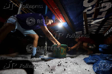 People handle Amazon acai berries in a cold room, at the Ver-o-Peso market