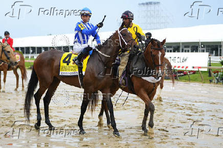 Horse Racing: Black-Eyed Susan