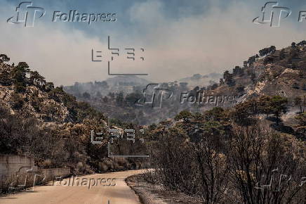 Wildfires continue to rage on Greek island of Chios