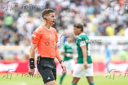 Partida entre Palmeiras e Botafogo no Mundial de Clubes da fifa