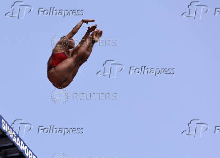 World Aquatics Championships