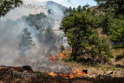Wildfires continue to rage on Greek island of Chios