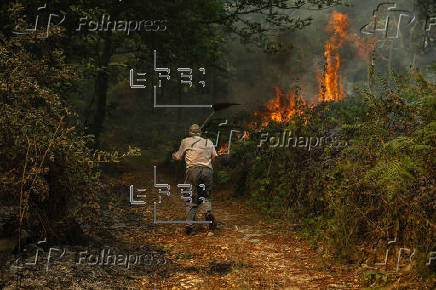 Incendio forestal en A Pobra de Trives