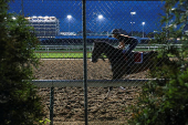 Horse racing - Kentucky Derby 2025