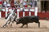Toros en Zamora
