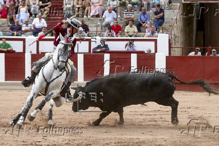 Toros en Zamora