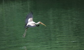 Monsoon rain in Delhi Zoo