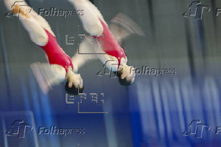 World Aquatics Championships Singapore 2025 - Day 18