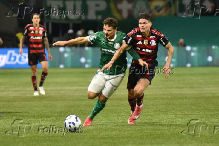 SÃO PAULO (SP), 25.05.2025 - Futebol / Palmeiras x Flamengo