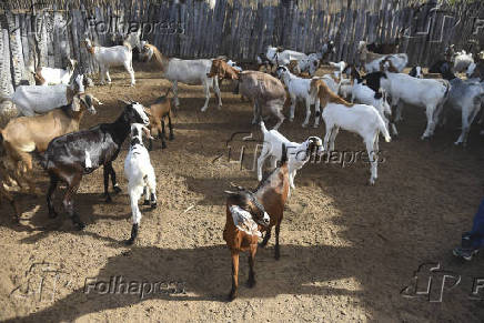 Agropecuaria