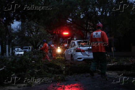 Árvores caídas destroem carros em Perdizes- SP