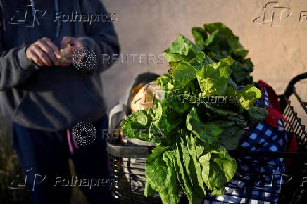 Food pantry is busy, weeks into the continuing U.S. government shutdown, in Fountain
