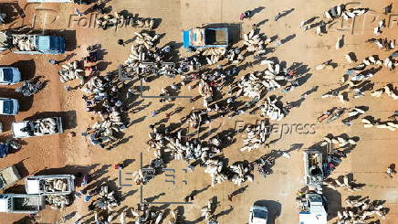 Syria prepares to celebrate Eid al-Adha