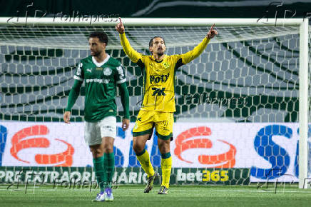 Partida entre palmeiras e mirassol pelo brasileirão de futebol