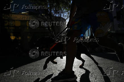 Dogs take over the streets during the Perroton in Bolivia to highlight pet care, in La Paz