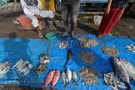 Daily life of fishermen in a traditional fishing port