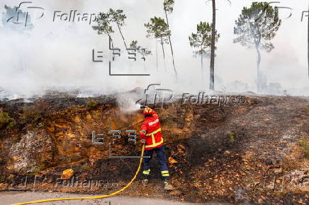 Forest fire in Portugal