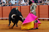 Feria de Abril en la Maestranza de Sevilla