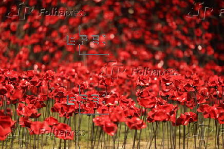 Ceramic poppy display at the Tower of London