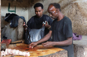 Somali man defies taboo to care for Mogadishu's stray dogs and cats