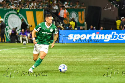SÃO PAULO (SP), 25.05.2025 - Futebol / Palmeiras x Flamengo
