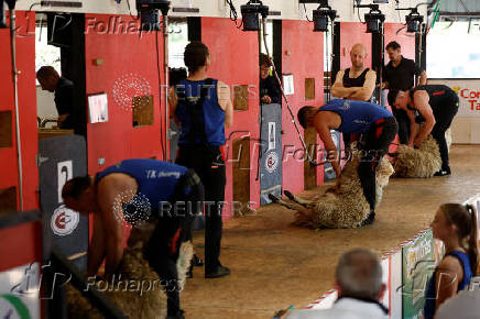 European sheep shearing & wool handling championships in Mountbellew