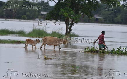At least 25 people killed across the Northeast India following days of monsoon rains