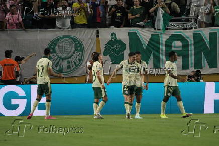 Inter miami fc vs palmeiras :fifa club world cup.