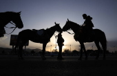 Horse riding in Sana'a
