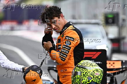 Formula One Hungarian Grand Prix - Practice and Qualifying