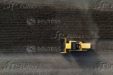 Soybean harvest in Rio Grande do Sul state, Brazil