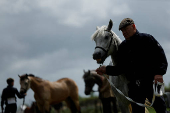 Agricultural show, in Athenry