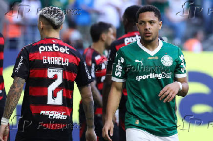 Palmeiras e Flamengo pelo Campeonato Brasileiro