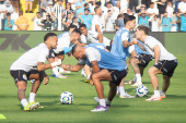 SANTOS, SP, 01.06.2025-BRASILEIRO SERIE B 2025-SANTOS (SP) X BOTAFOGO (RJ)