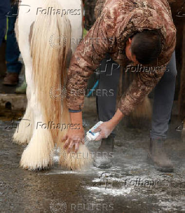 Annual horse fair in Appleby-in-Westmorland