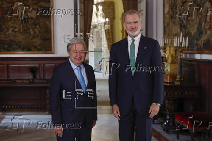 El rey se reúne con António Guterres