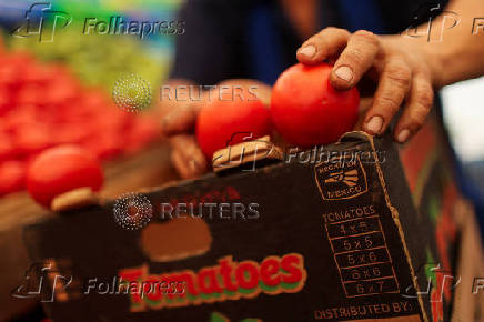 U.S. duties on Mexican tomato imports