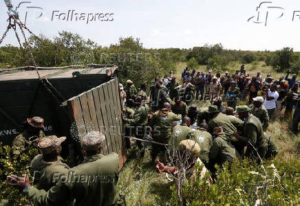 KWS rangers translocate endangered black rhinos from the Ol Pejeta Conservancy to establish a new breeding population at the Segera Conservancy in Laikipia