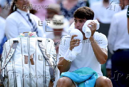 Wimbledon Championships 2025 - Day 14