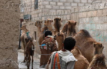 Climate change impacts herders in Yemen