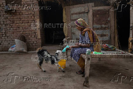 Woman feeds pet kid after chores along Chenab River in Multan