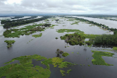 AMAZONAS, CHEIA DO RIO SOLIMOES